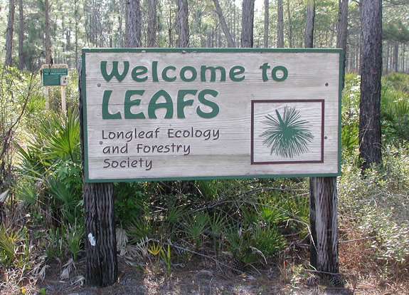 The Leafs sign welcomes visitors